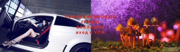 метадон Белокуриха
