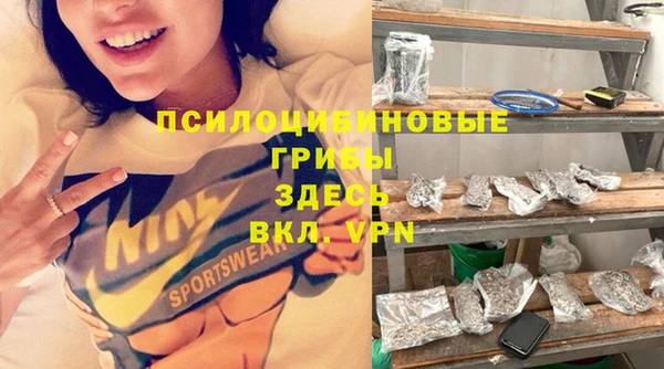 PSILOCYBIN Белоозёрский