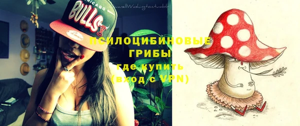 стафф Беломорск