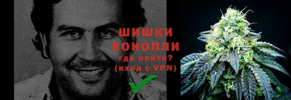 Альфа ПВП Ростов