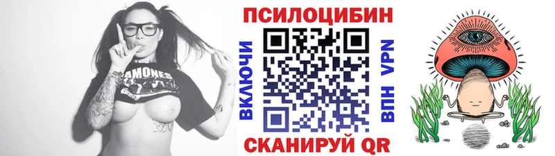 где продают наркотики  Краснокамск  Галлюциногенные грибы Cubensis 